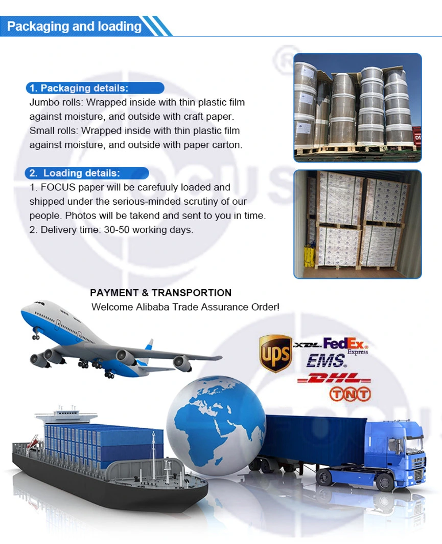 Label Termal Pelabelan Pengiriman Termal Ramah Lingkungan Jumbo Roll 70GSM 75GSM 5